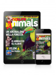 Abbonamento a Nature & Animals digitale