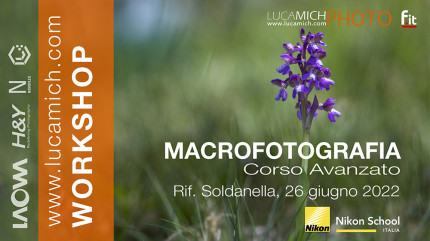 Workshop - Macrofotografia - Corso Avanzato