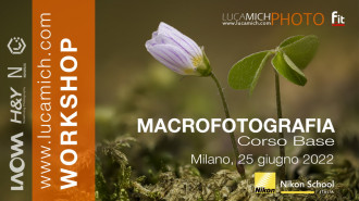 Workshop - Macrofotografia - Corso Base