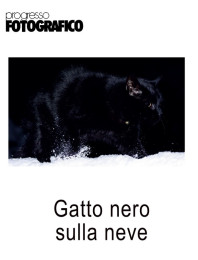 Gatto Nero, neve bianca