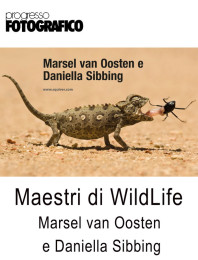 Maestri di WildLife: Marsel van Oosten e Daniella Sibbing