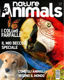 Nature & Animals # 17