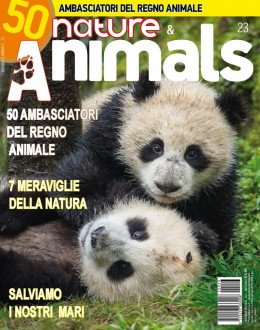Nature & Animals # 23