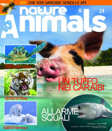 Nature & Animals # 24