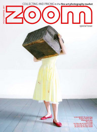 Zoom n.235: Collecting and Princing Vol.1
